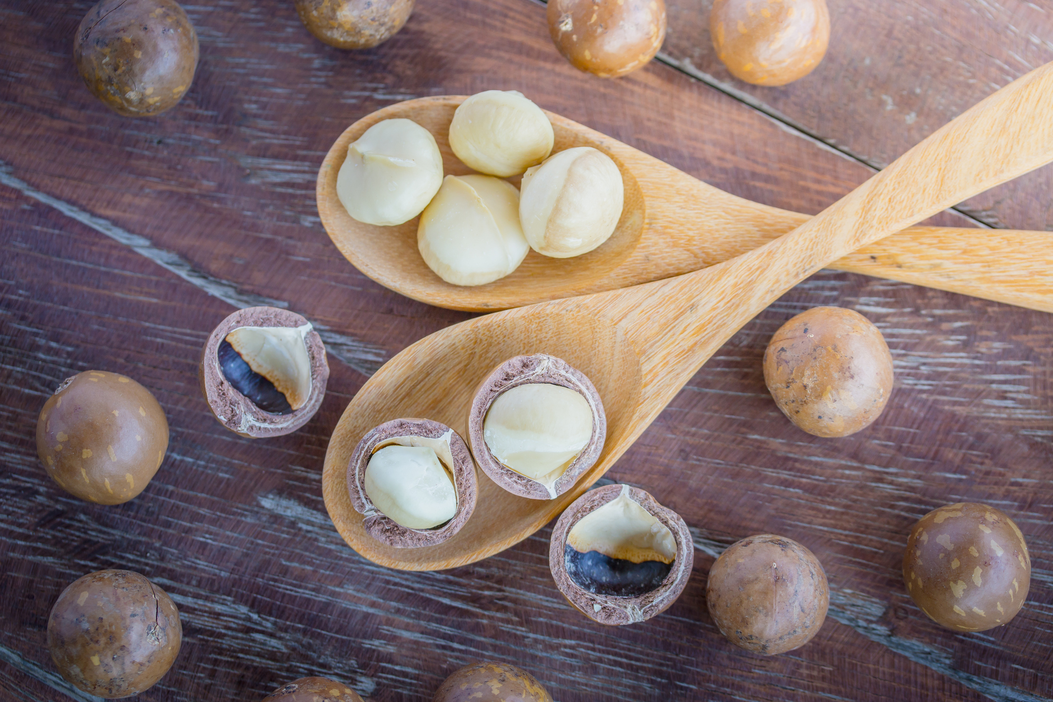 Macadamia-Nüsse - Bildnachweis: lamyai – Stock-ID: 643212214 – Lizenz erworben am: 06.06.2025