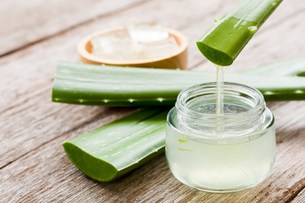 Ein aufgeschnittenes Aloe-vera-Blatt tropft Gel in ein kleines Glas.