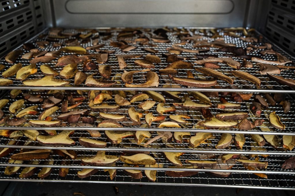 In Scheiben geschnittene Pilze liegen zum Trocknen auf mehreren Gitterrosten im Backofen.