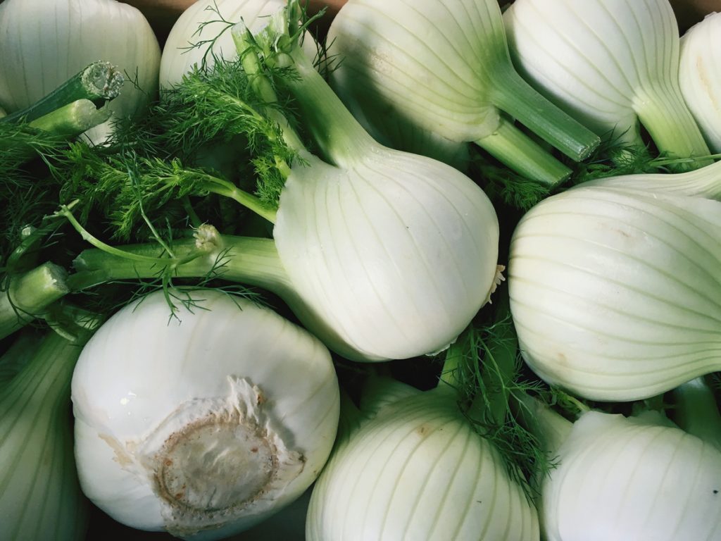 Viele geerntete Fenchelknollen mit etwas Grün liegen dicht zusammen.