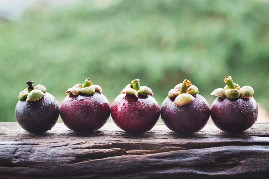 Fünf ganze Mangostan liegen nebeneinander auf einem Holzstamm.