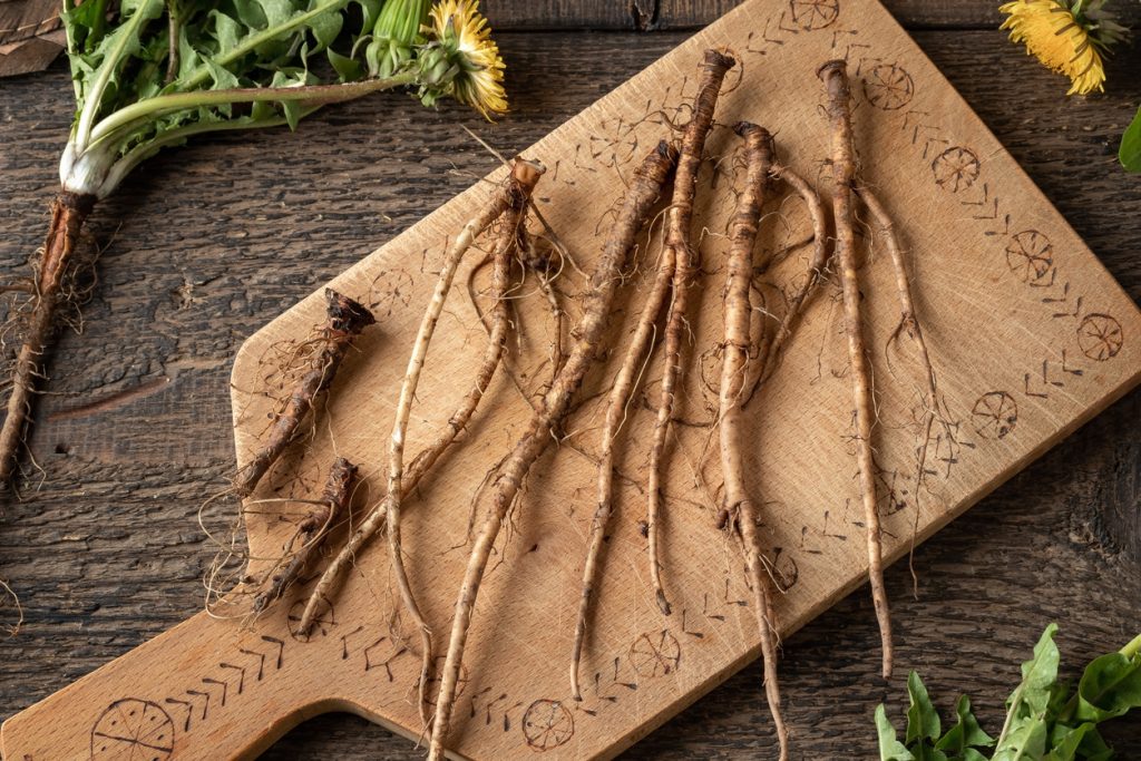 Mehrere gereinigte Löwenzahnwurzeln liegen nebeneinander auf einem Holzbrett.