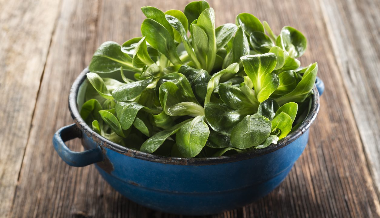 Feldsalat: So gesund ist der grüne Klassiker wirklich