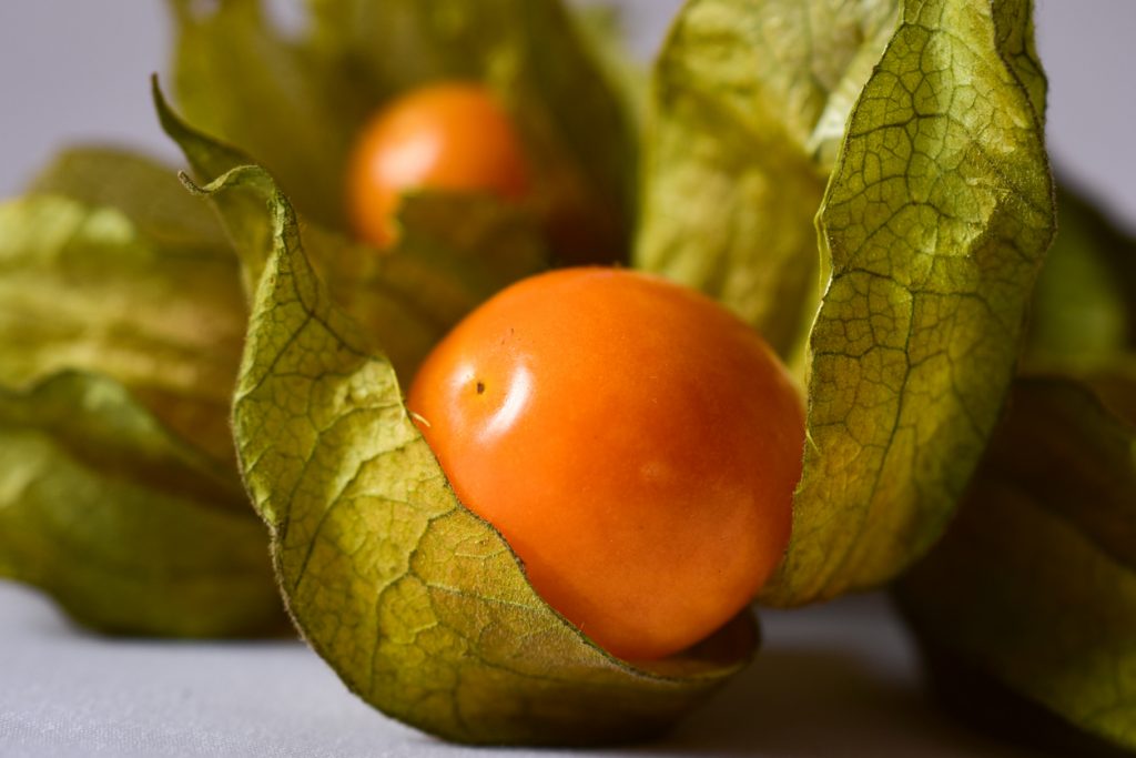 Nahaufnahme einer orangefarbenen Beere in geöffneter Papierhülle.