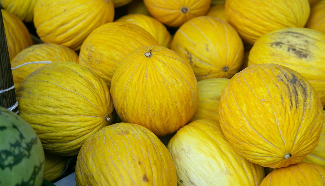 Honigmelone als erfrischende Sommerfrucht