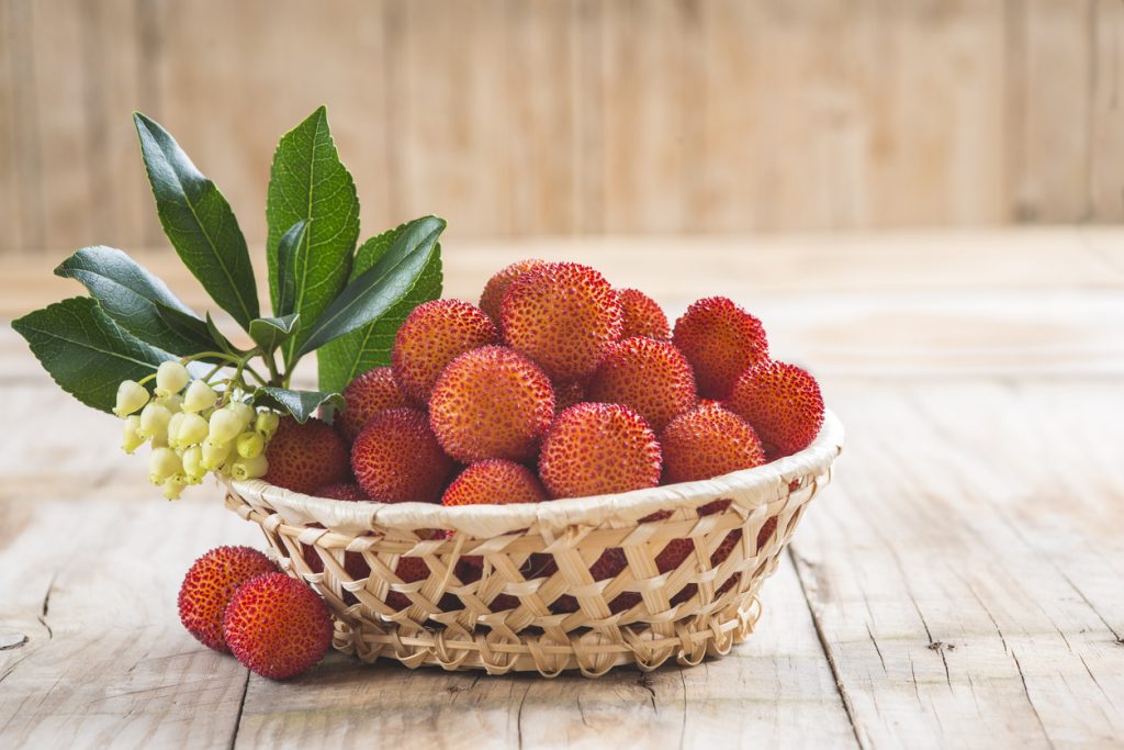 Geflochtener Korb mit vielen roten Früchten und einem Zweig mit grünen Blättern.