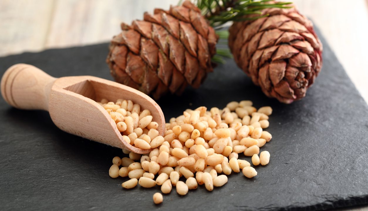 Pinienkerne als feine Nusszutat