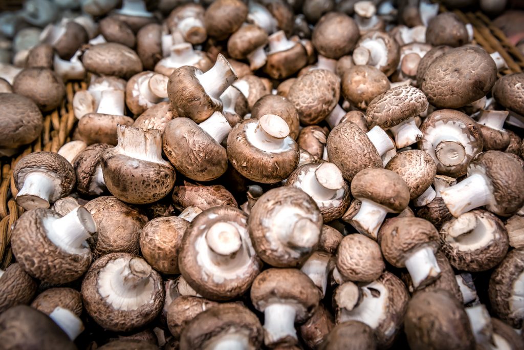 Viele braune Champignons liegen dicht gedrängt in einem Marktkorb.