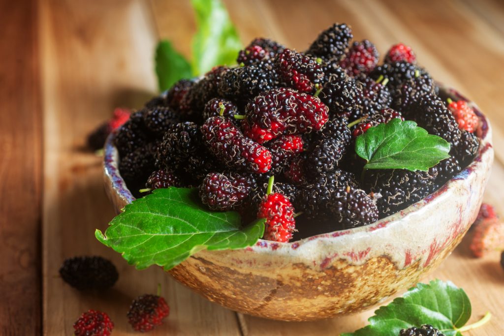 Eine Schale ist mit dunklen und roten Maulbeeren und grünen Blättern gefüllt.