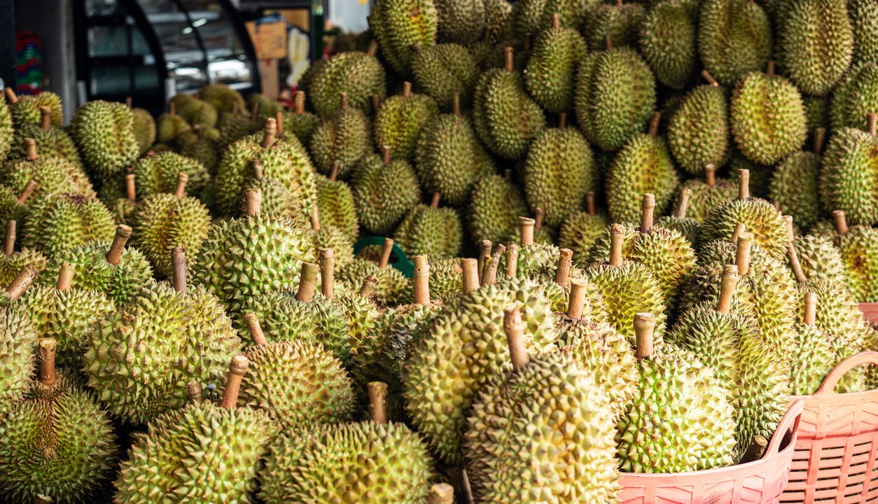 Durian – Exotische Frucht mit intensivem Aroma und großer Wirkung
