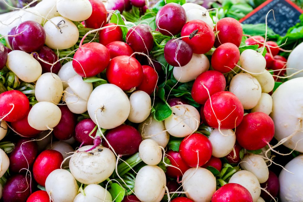 Viele Radieschen in Rot, Weiß und Violett liegen dicht nebeneinander mit etwas Grün.