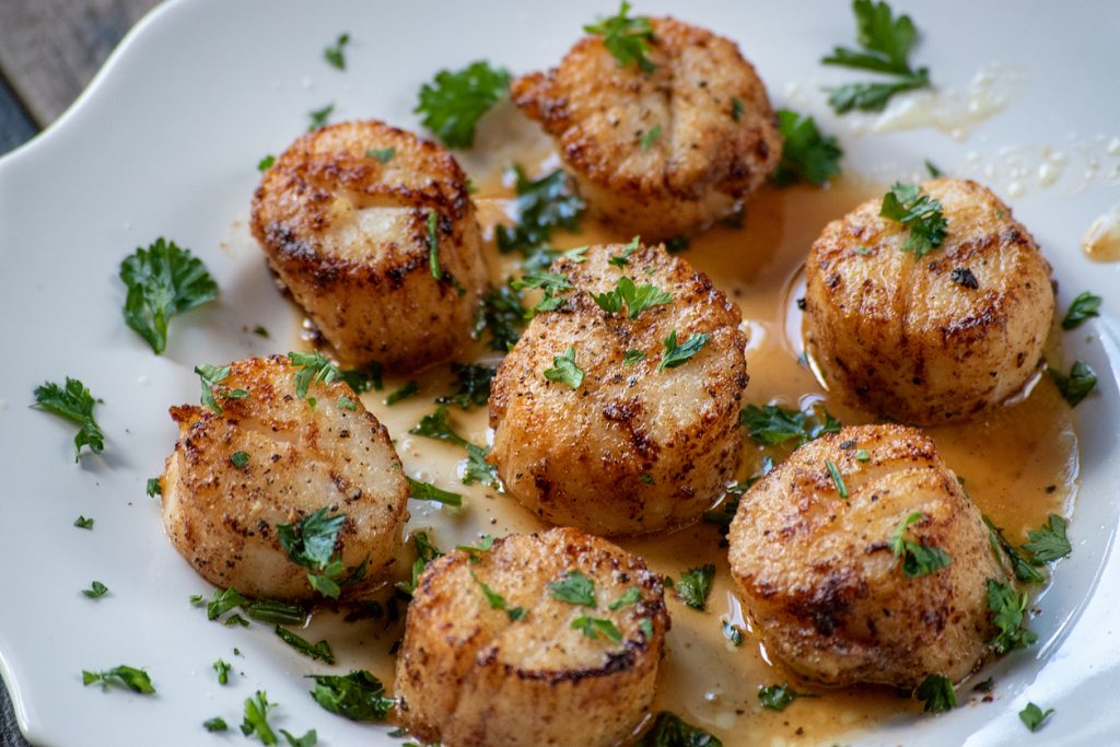 Mehrere gebratene Jakobsmuscheln sind auf einem Teller angerichtet und mit grünen Kräutern garniert.