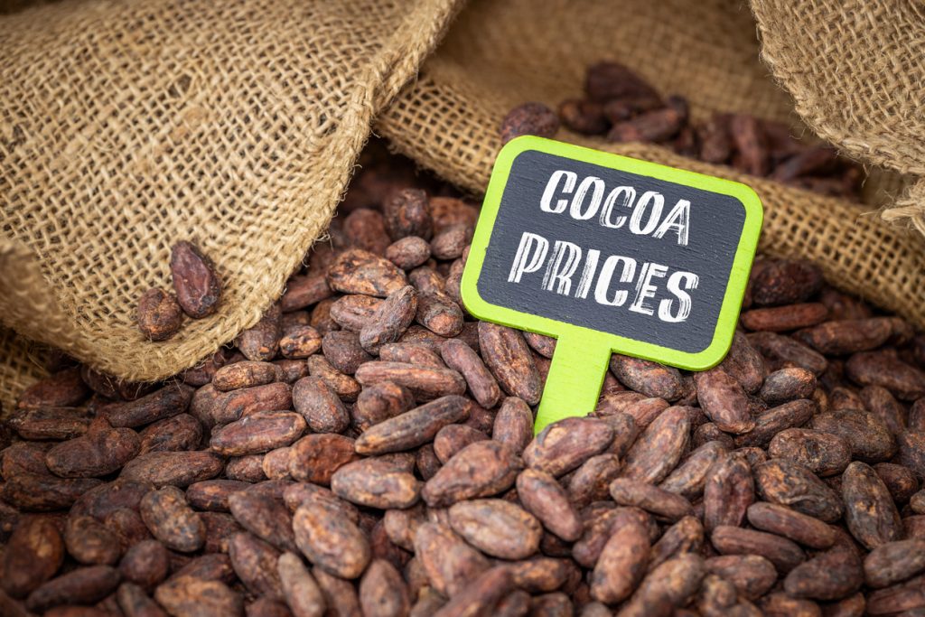 Viele Kakaobohnen liegen neben Jutesäcken, in der Mitte steht ein Schild mit der Aufschrift Cocoa Prices.