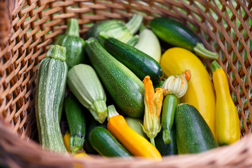 Grüne und gelbe Zucchini liegen gemischt in einem Weidenkorb, dazu eine Zucchiniblüte.