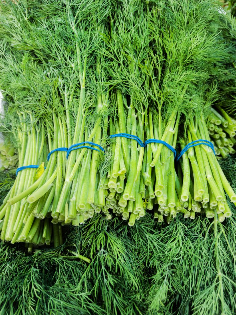 Mehrere Bündel von frischem Dill, die mit blauen Gummibändern fixiert sind, liegen dicht nebeneinander in einer Marktauslage.