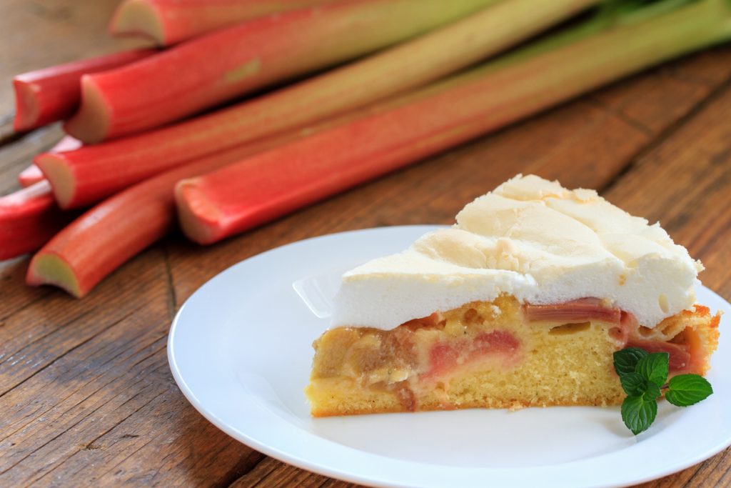 Eine Nahaufnahme eines Kuchenstücks auf weißem Porzellan, im Hintergrund ist der restliche Kuchen in der Backform und ein Bündel Rhabarber zu sehen.