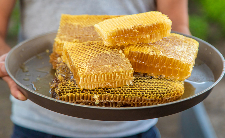 Eine Person hält eine Metallplatte mit mehreren großen, frisch geschnittenen Honigwabenstücken, die in eigenem Saft liegen.