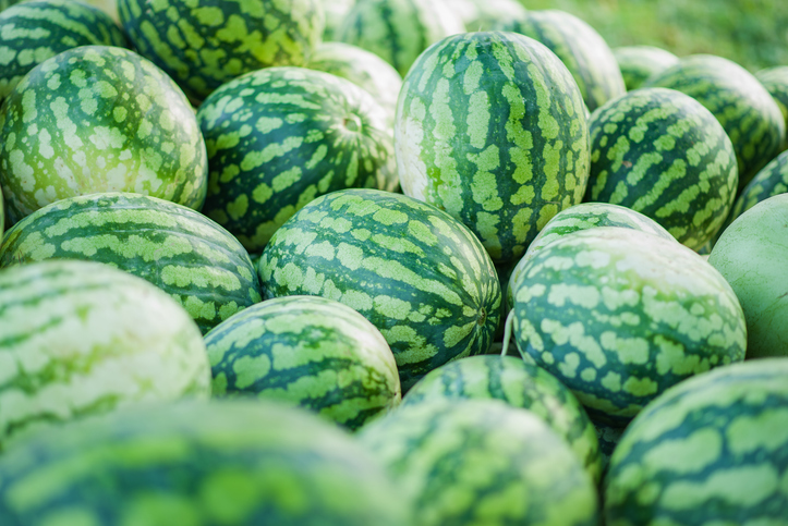Viele nebeneinander liegende Wassermelonen im Detail für einen sommerlichen Marktstand.