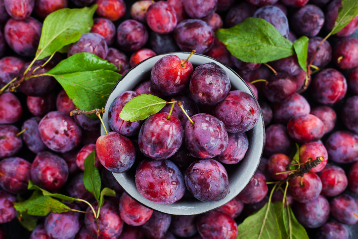 Eine Draufsicht auf eine kleine Schüssel mit violetten Pflaumen, die auf einer Unterlage aus noch mehr Früchten und Blättern steht.