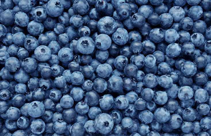 Eine sehr dichte Nahaufnahme von unzähligen Blaubeeren, die die gesamte Bildfläche ausfüllen.