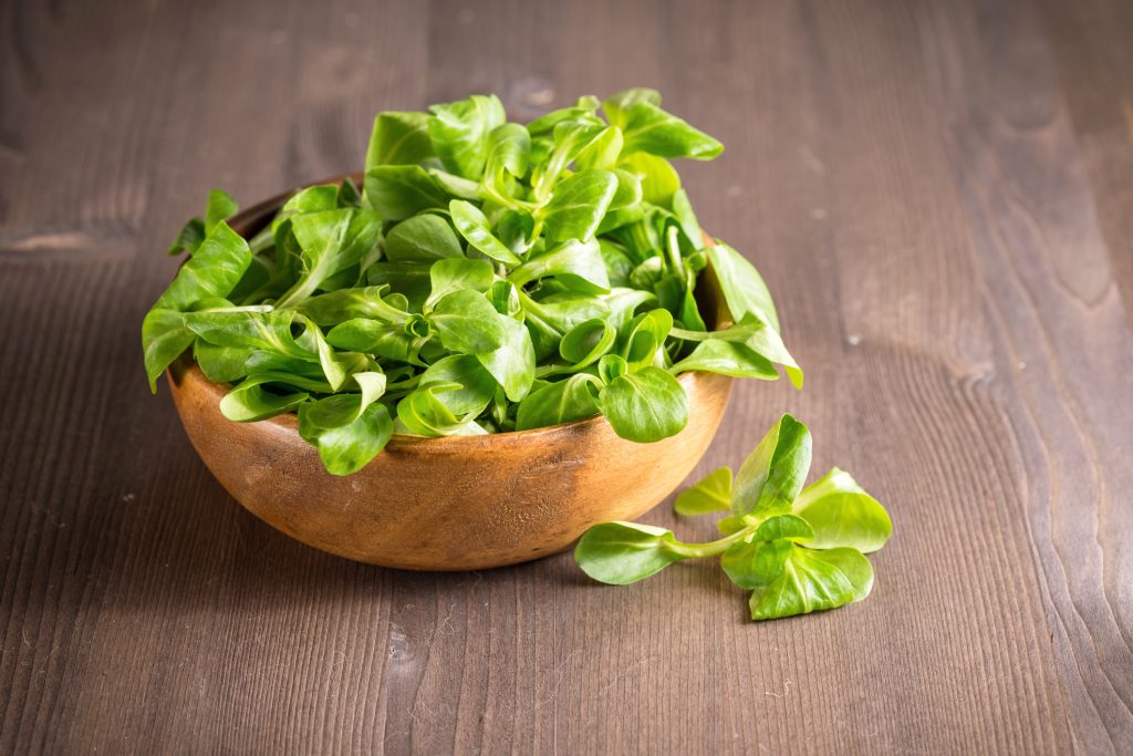 Eine kleine Holzschale gefüllt mit frischem, leuchtend grünem Feldsalat auf einer rustikalen Holzoberfläche.