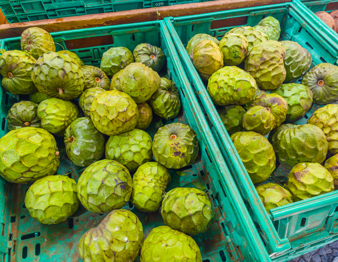 Grüne Cherimoya-Früchte in mehreren Transportkisten auf einem Markt