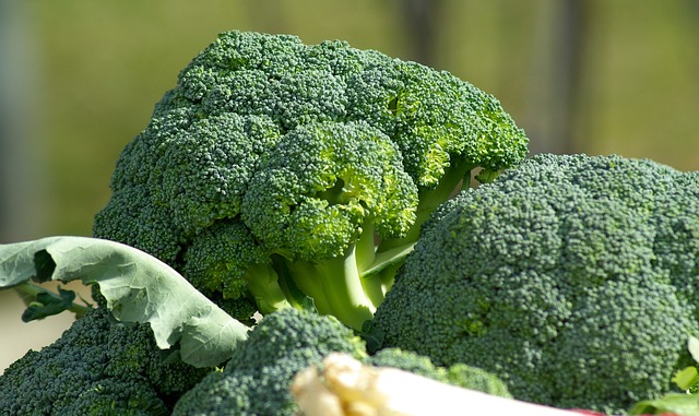Brokkoli: Nährstoffreich, Gesund und Vielseitig