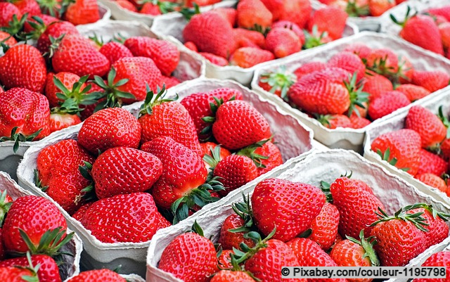 Erdbeeren: Vielseitige Frucht mit Geschichte