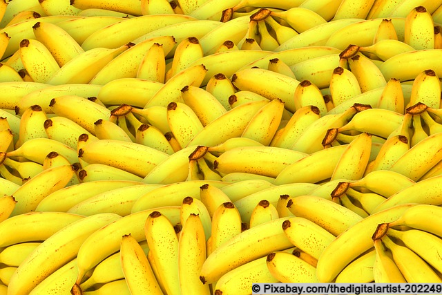 Bananen: Vielseitige Frucht mit globaler Bedeutung