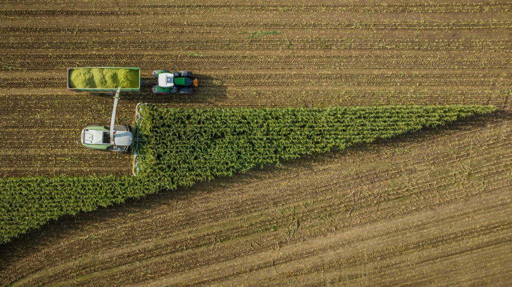 Luftaufnahme: Feldhäcksler erntet Mais und lädt Häckselgut in einen Traktoranhänger; abgeerntete Reihen neben grünem Maisbestand.