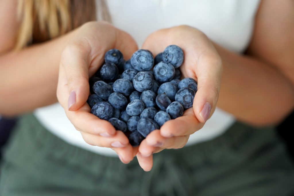Hände halten eine Portion frischer Heidelbeeren, Nahaufnahme mit Fokus auf die Früchte.