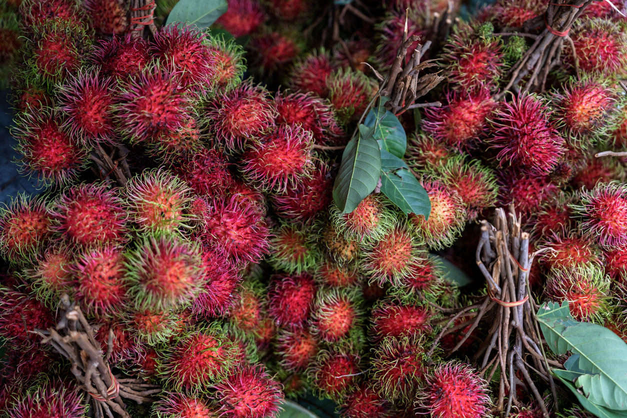 Rambutan-Bündel auf dem Markt – frische, reife Rambutan mit borstiger Schale in sattem Rot-Grün