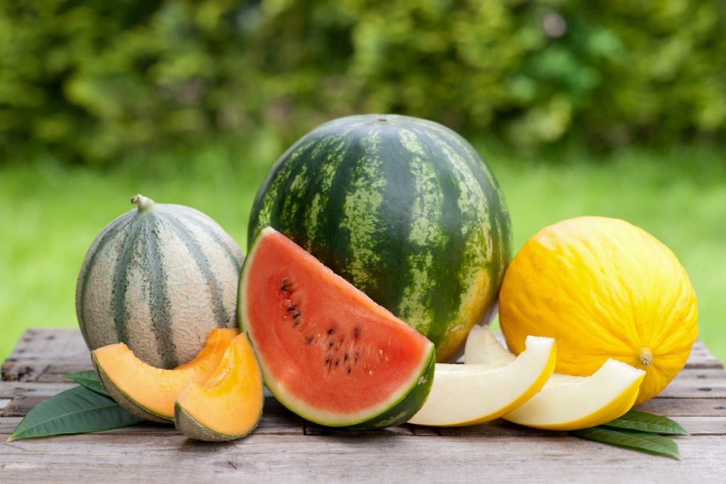 Verschiedene Melonensorten – Galia-, Wasser- und Honigmelone – ganz und aufgeschnitten, auf einem Holztisch im Freien angerichtet.