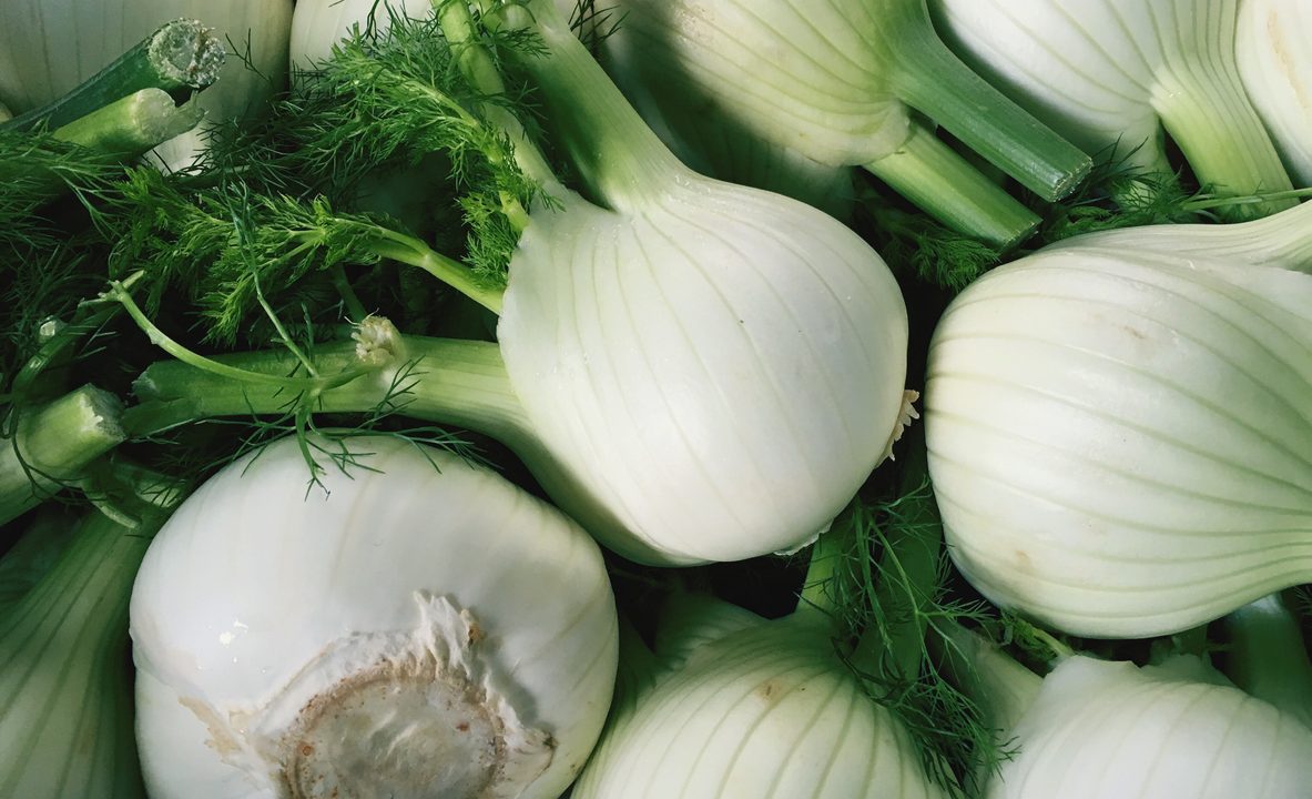 Fenchel – Diese Knolle ist knackig, aromatisch und überraschend vielseitig