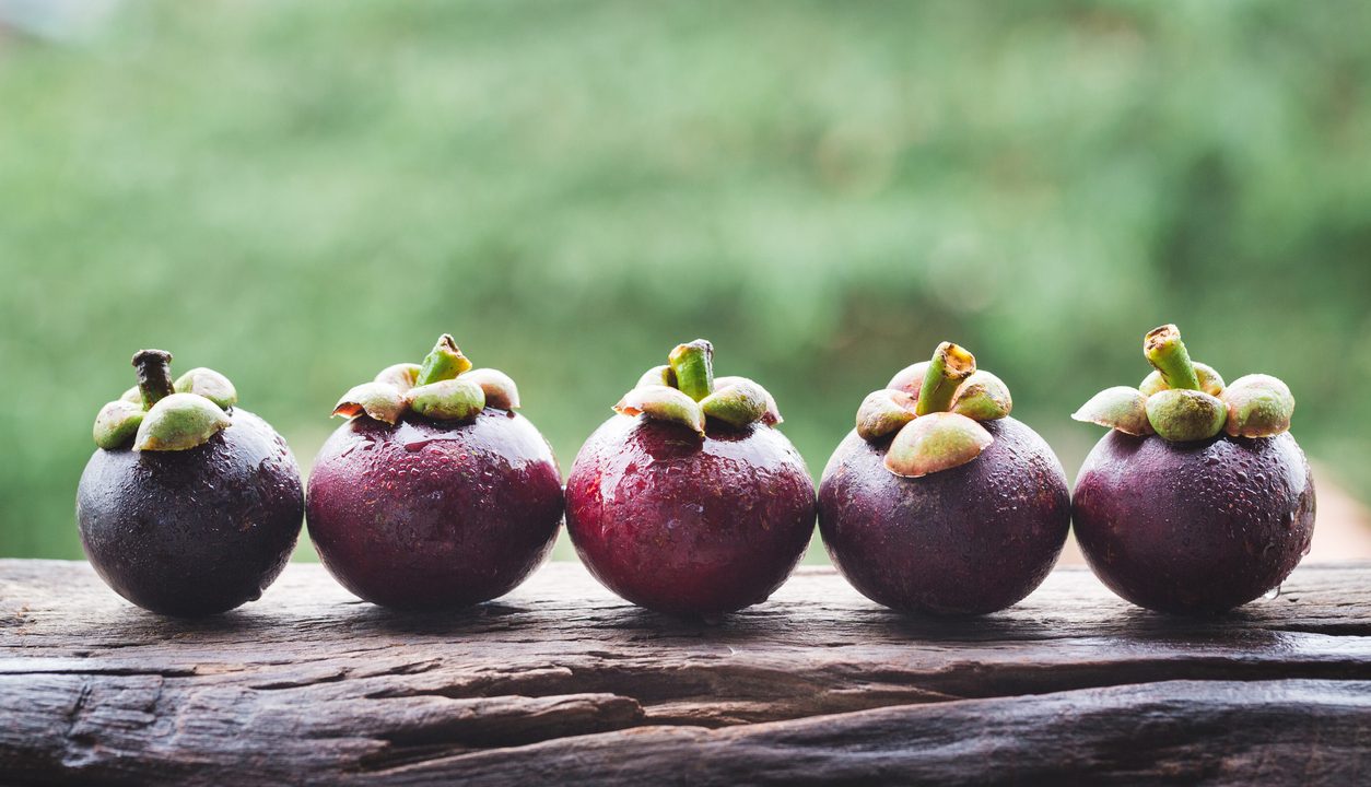 Mangostan als Lebensmittel: exotisch, saftig und fein süß-säuerlich
