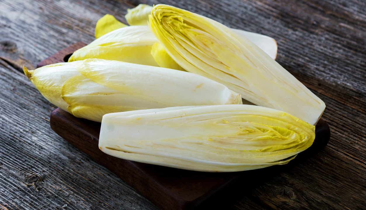 Chicorée – Warum dieses bittere Gemüse viel spannender ist, als viele denken