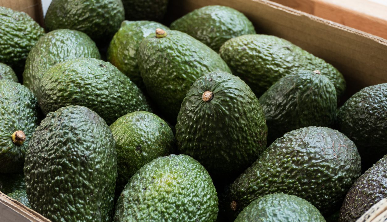 Avocado: Was wirklich in ihr steckt und warum sie so vielseitig ist