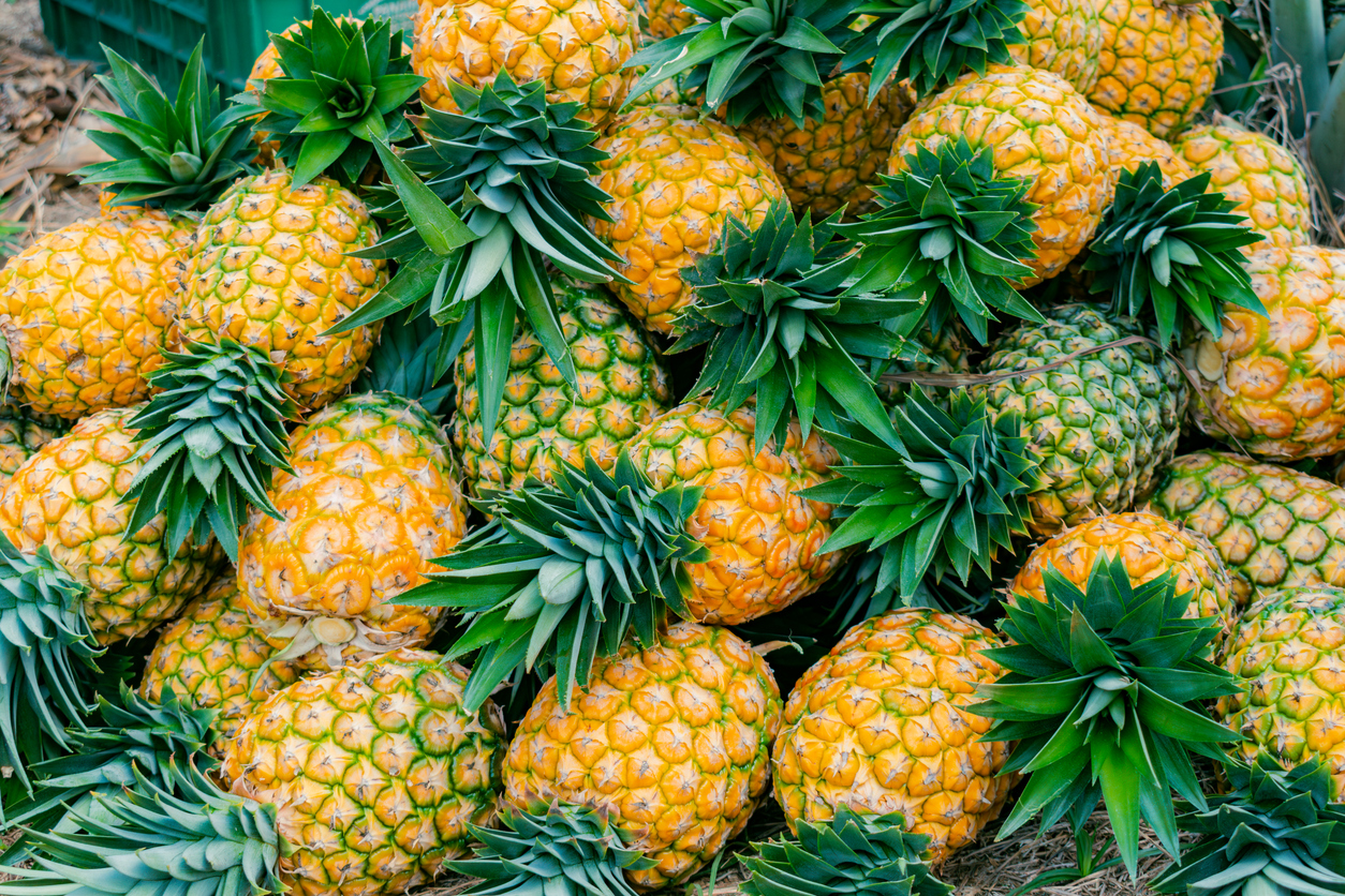 Ein großer Haufen reifer, gelb-oranger Ananas mit grünen Blättern liegt dicht aneinander auf einem Marktstand.