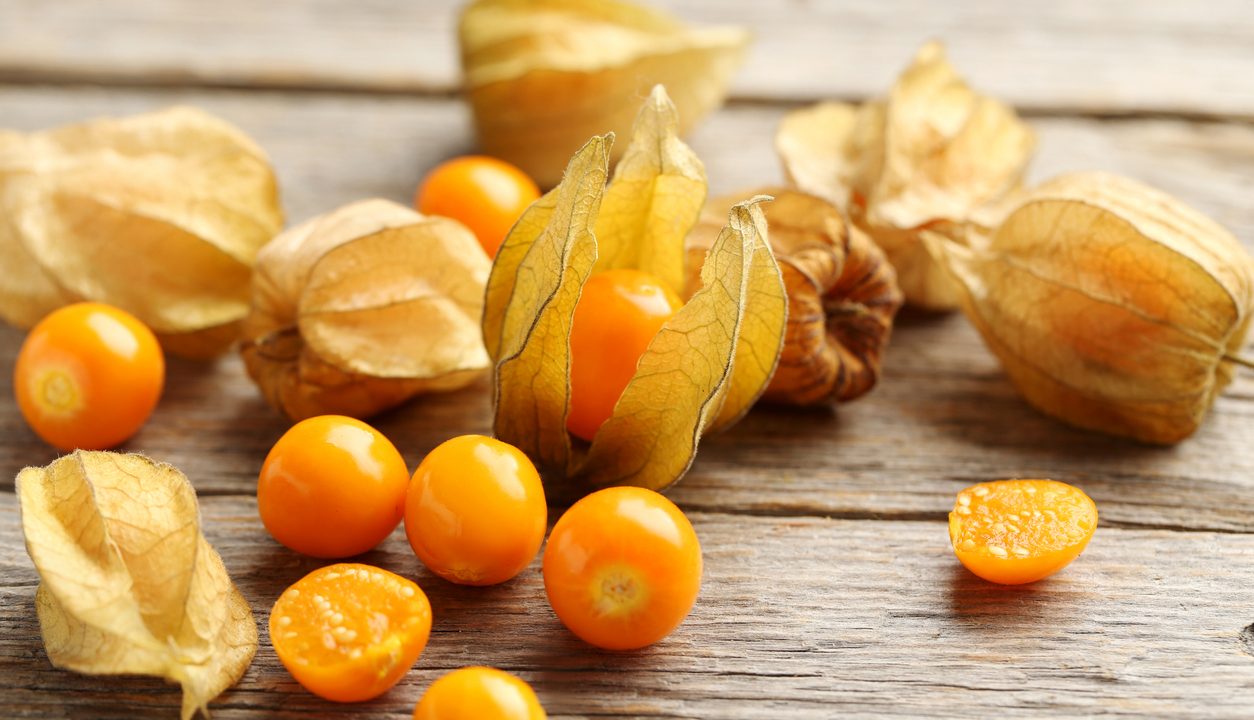 Physalis: Die goldene Beere, die viele völlig unterschätzen