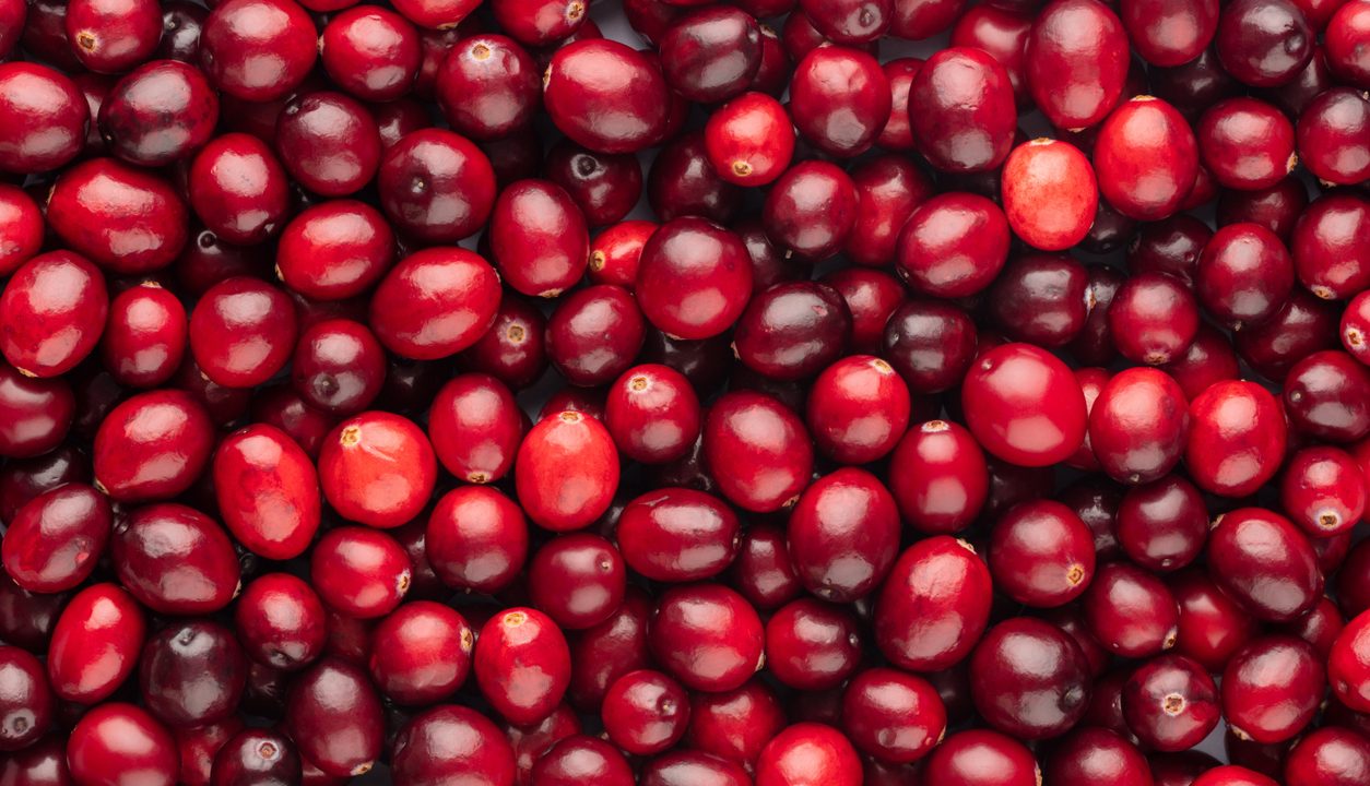 Cranberries – Die fruchtig-säure Beere mit Power und vielen Einsatzideen
