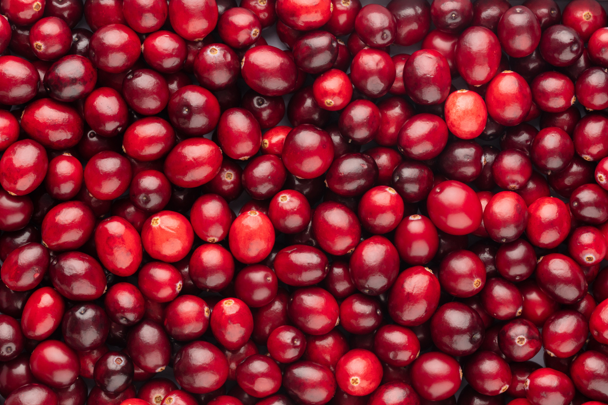 Nahaufnahme von vielen frischen Cranberries, die das ganze Bild füllen.