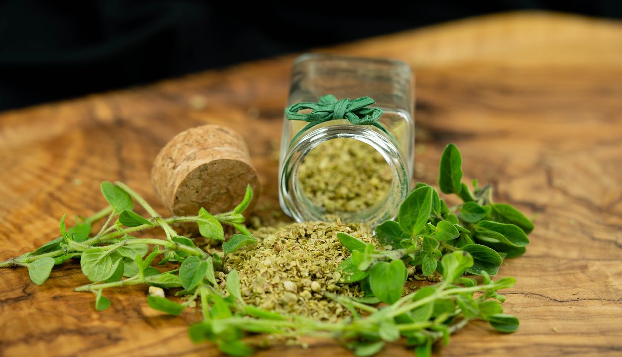 Oregano: mediterraner Duft für jeden Tag