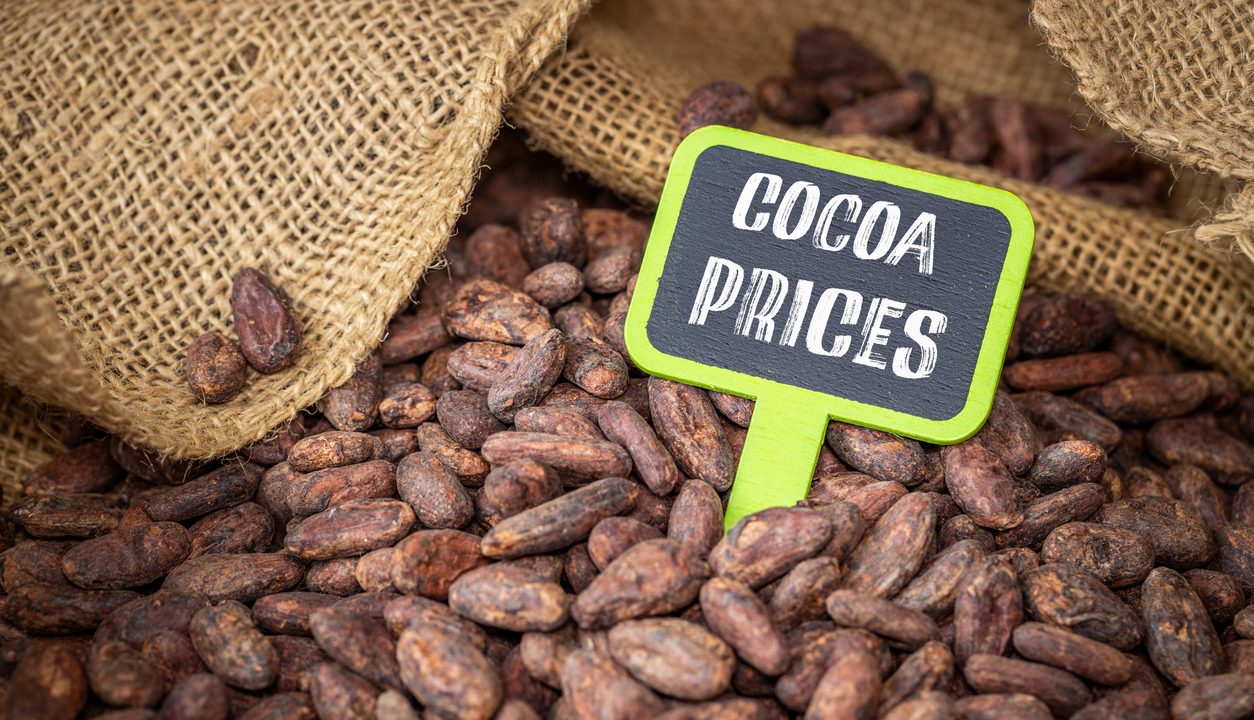 Kakao – Das aromatische Lebensmittel, das nach Wärme schmeckt und mehr kann als nur süß