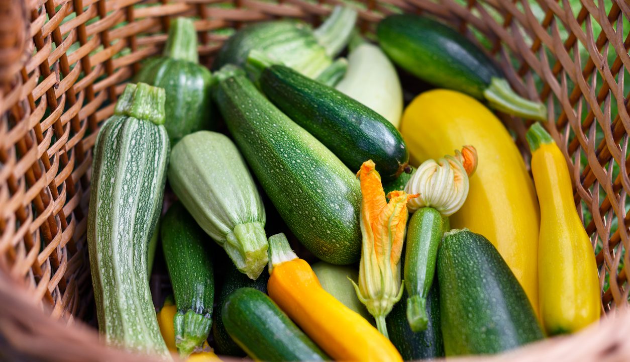 Zucchini: Mildes Sommergemüse für Pfanne, Ofen und Grill