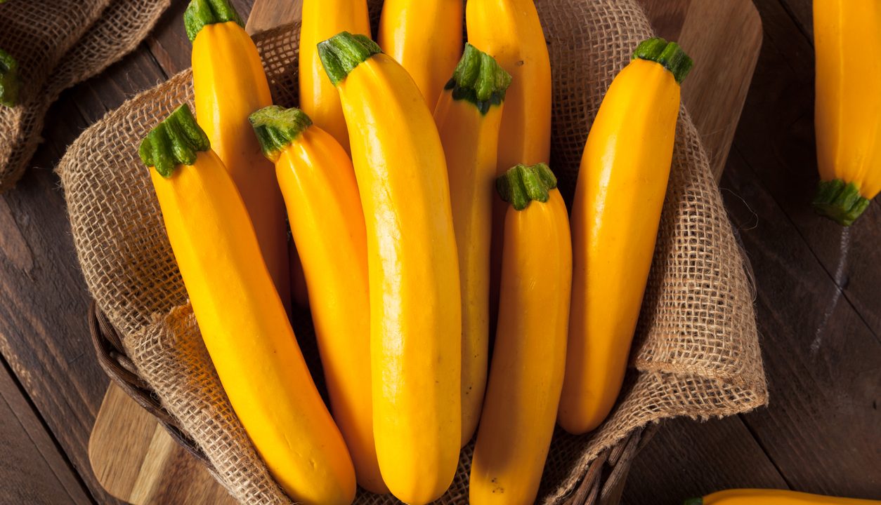 Zucchini: leicht, frisch und immer unkompliziert