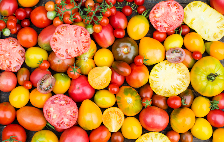 Tomaten – So vielseitig und gesund sind sie wirklich